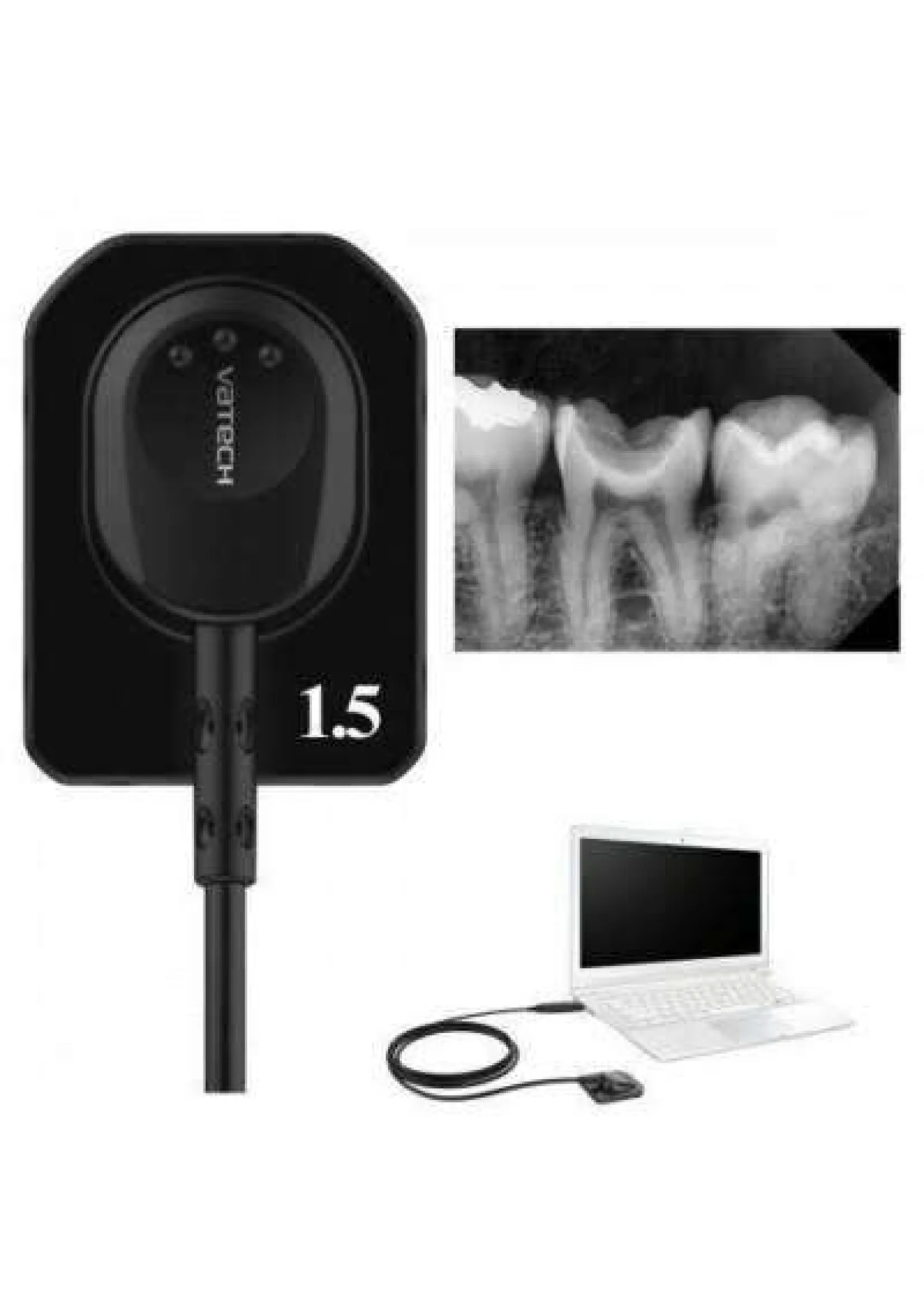 Digital Imaging and Diagnostic Services